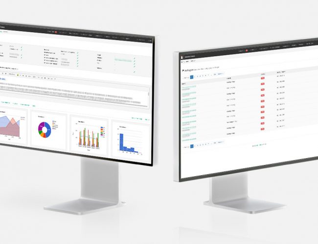 ERP-Lösung Multibox zwei Monitore