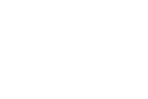 Dr Anna Braun Logo