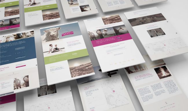 pm result website presentation