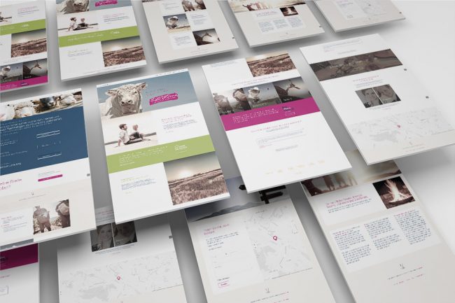 pm result website presentation