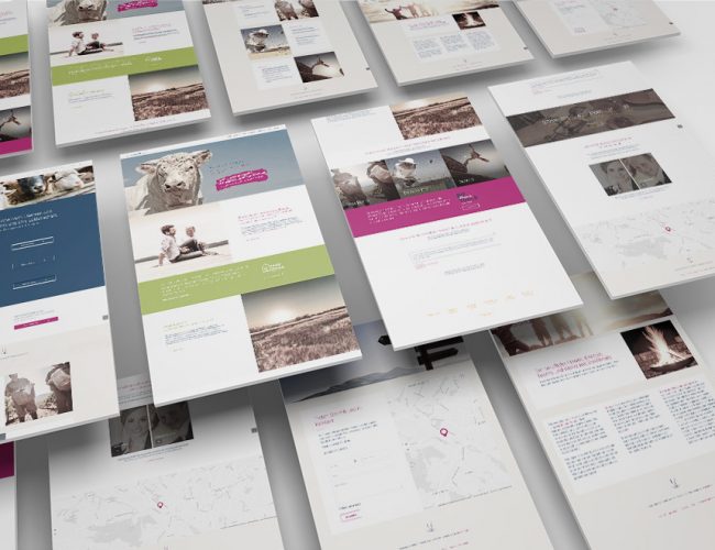 pm result website presentation