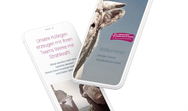 pm result website mobile presentation